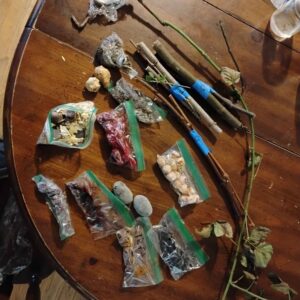 Native/Hardy Plant cutting bundle