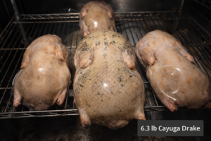 6.3 pound Cayuga drake showing black duck meat in a package with great heritage breed flavor