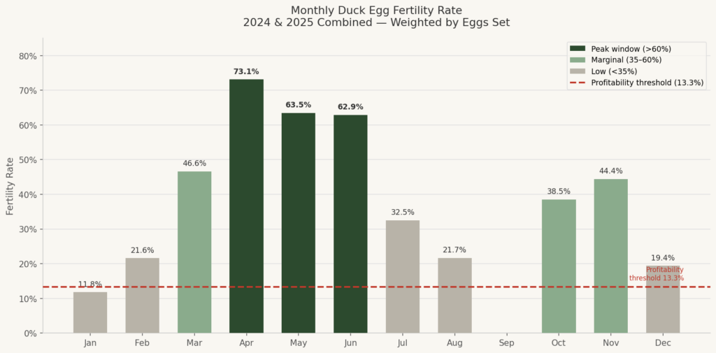 Hatching Duck Eggs Fertility Calendar