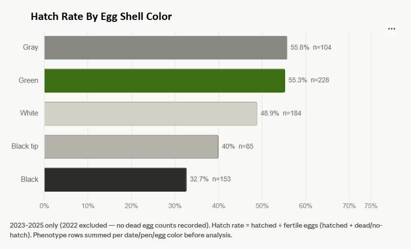Hatch Rate by Egg color for duck eggs