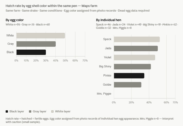 Hatch rate by hen in the same pen
