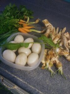 Magpie pattern Cayuga egg